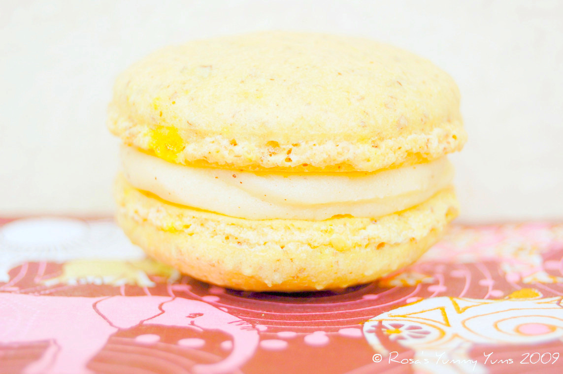 [Macarons+5+bis.jpg]