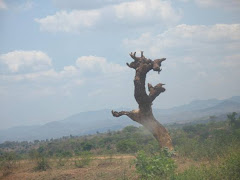 road to Lake Malawi