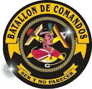 BATALLON DE COMANDOS 19