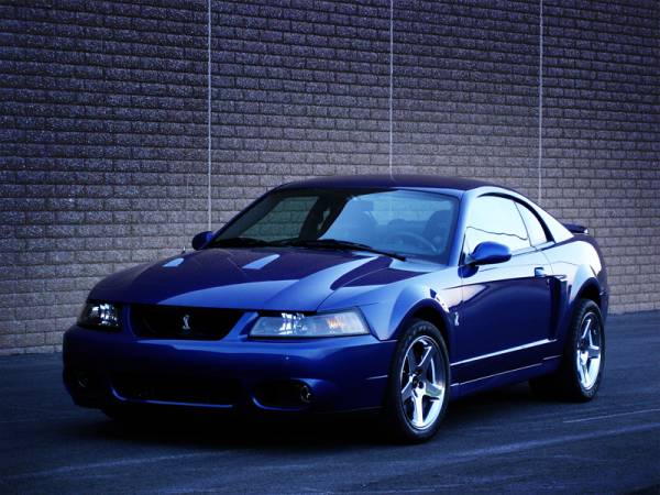 The outstanding and amazing 2003 to 2004 Ford Mustang SVT Cobra is a limited
