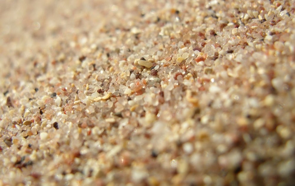 The Undeniable Existence of The Soul Grains of Sand...