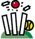 Cartoon Cricket Images