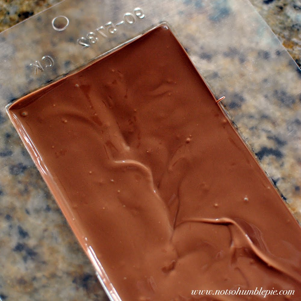 candy bar mold