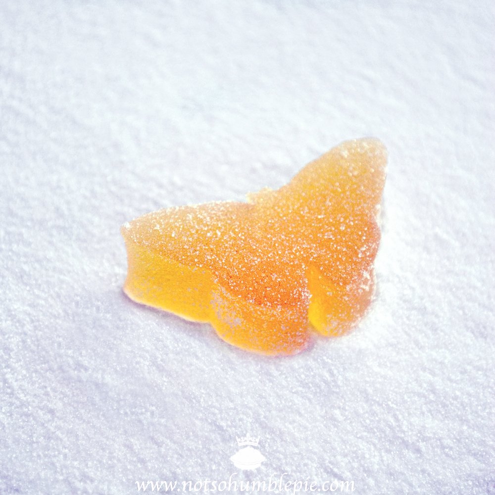 Not So Humble Pie Fruit Gelées