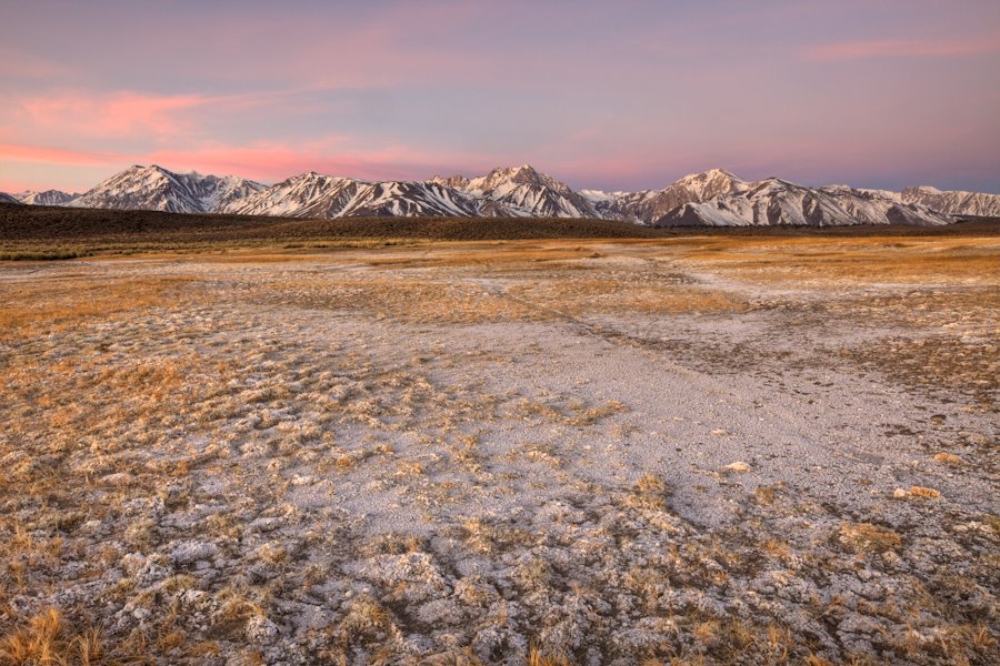 [IMG_1465_6_7_900.jpg]