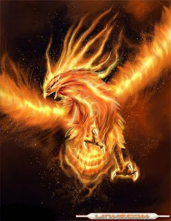 fenix fenix