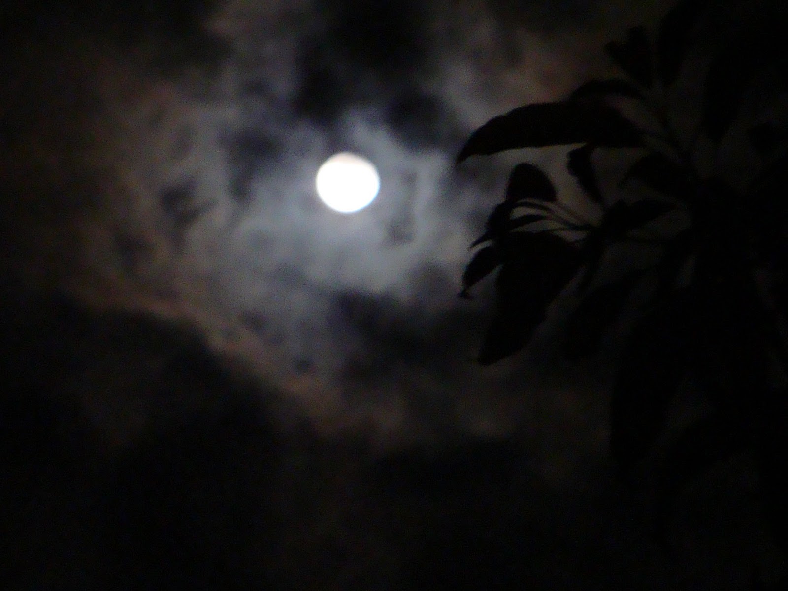 noche de luna