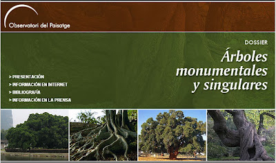 Arboles singulares