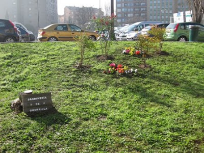 Guerrilla Gardening