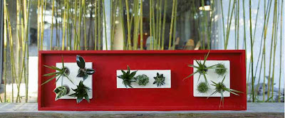 flowerbox