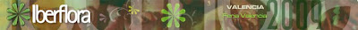 Iberflora