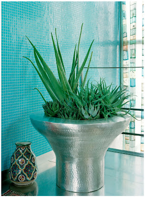 Plantas de Holanda