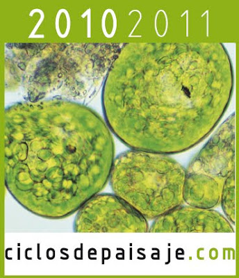 Ciclos de paisaje