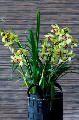 Oficina holandesa de flores