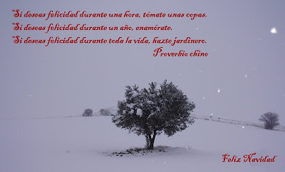 Feliz Navidad