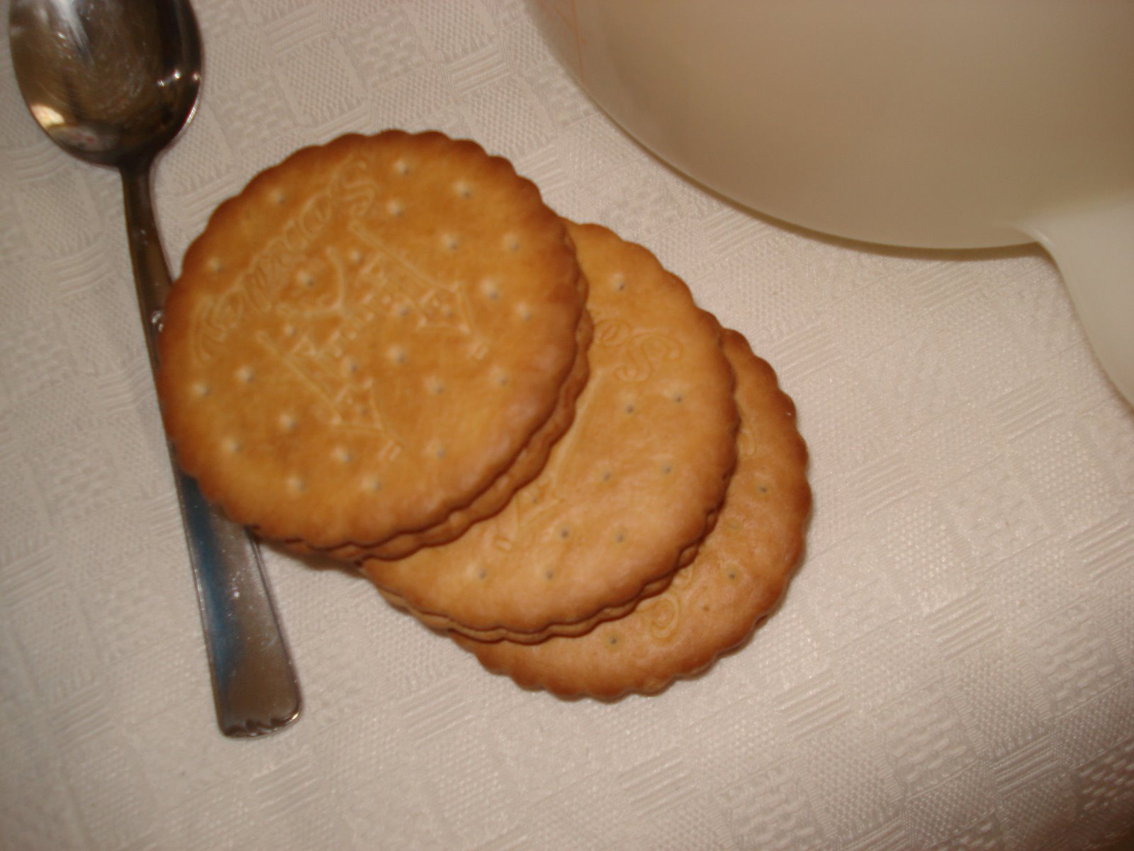 [DSC02565.JPG]