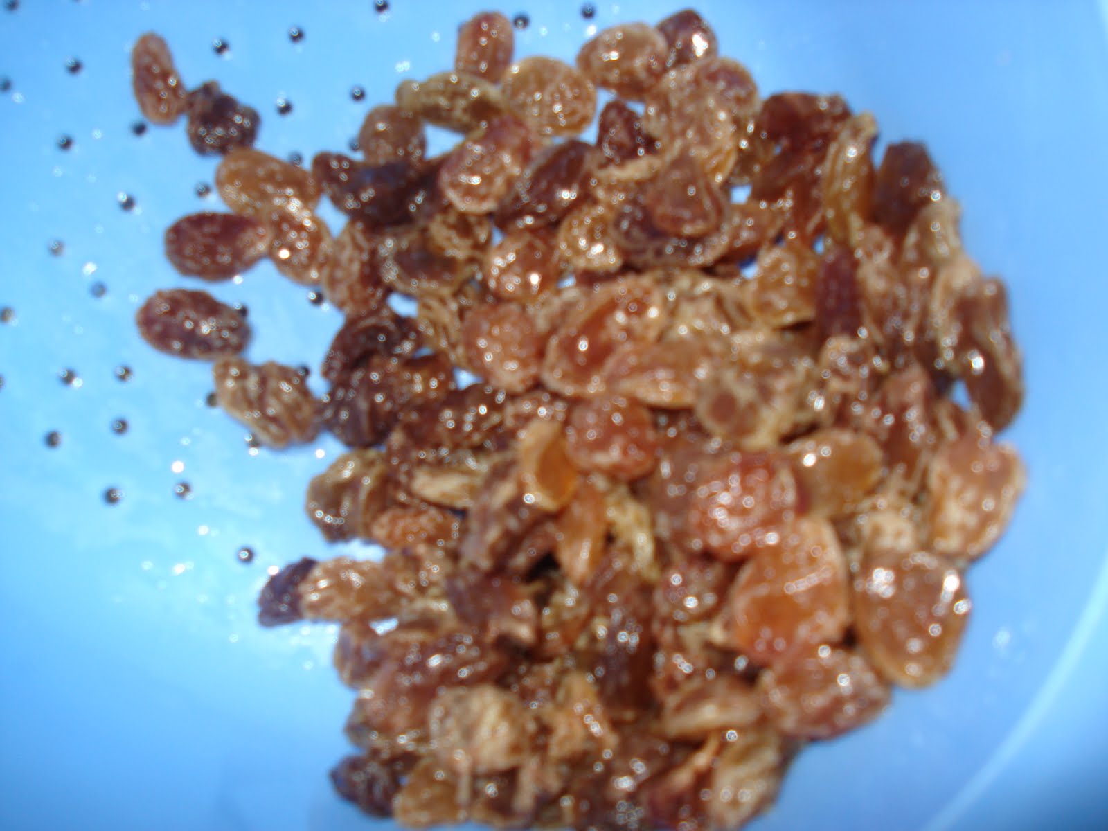 [DSC02438.JPG]