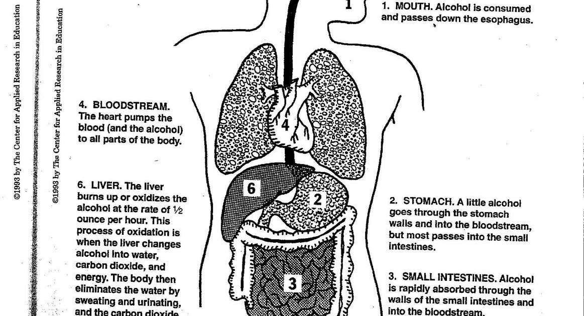 Mr. Cassidy's Health Class Aim how does alcohol effect the systems of