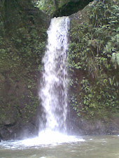 The Sumpitan Falls