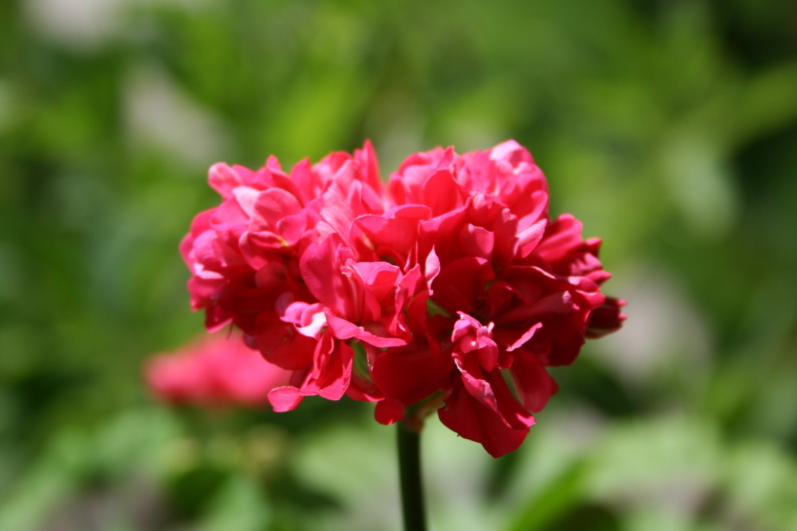 [IMG_4547.JPG]