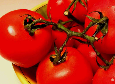 Tomates guillaume lelasseux 2009
