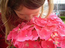 Our beautiful Hydrangeas