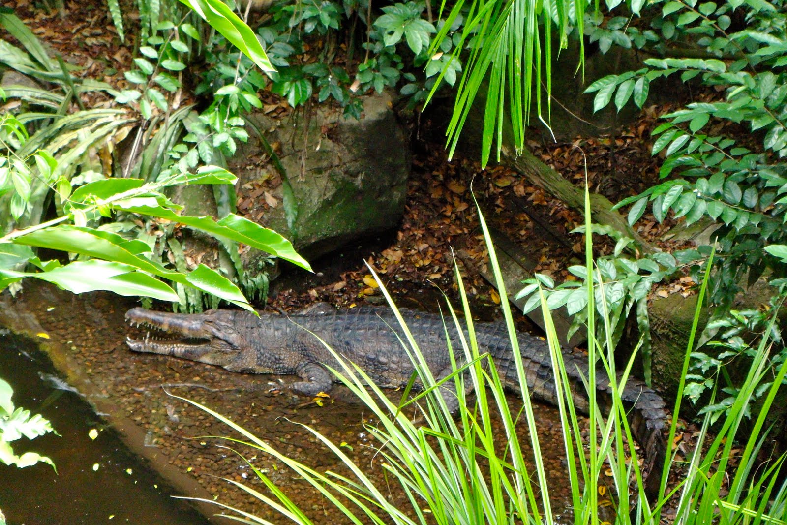 [DSC01143.JPG]