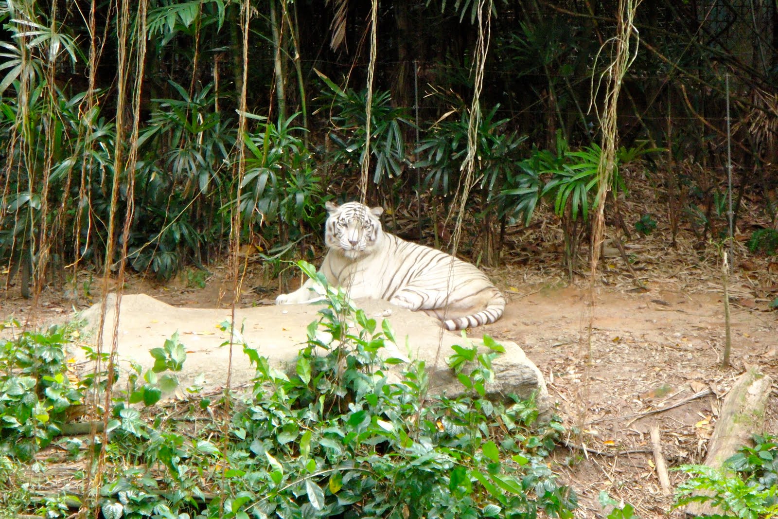 [DSC01146.JPG]