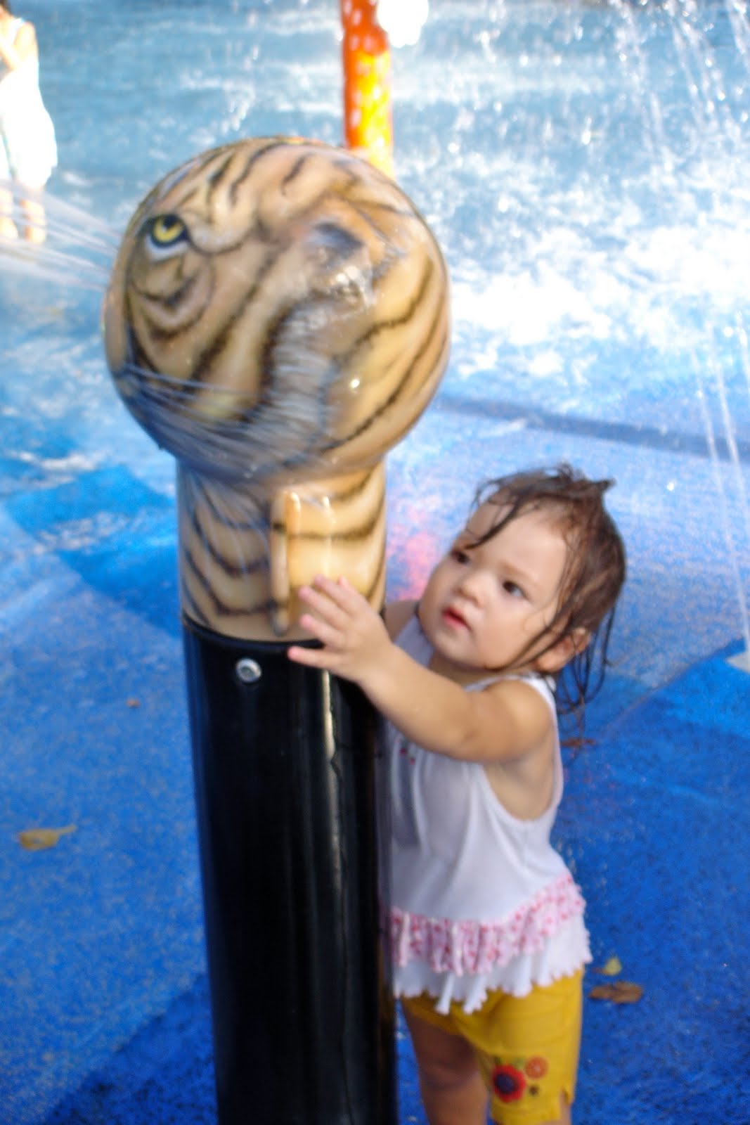 [DSC01179.jpg]