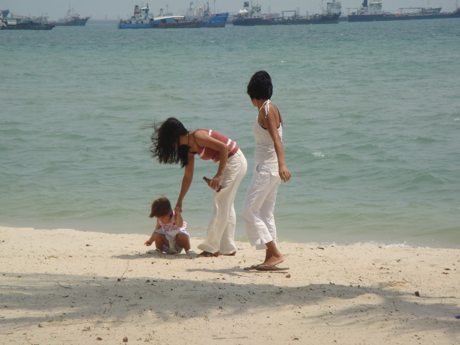 [DSC00551.JPG]