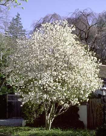 [n821739043_486231_6455.jpg]