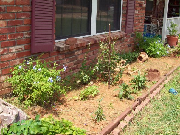 [n821739043_723972_8834.jpg]