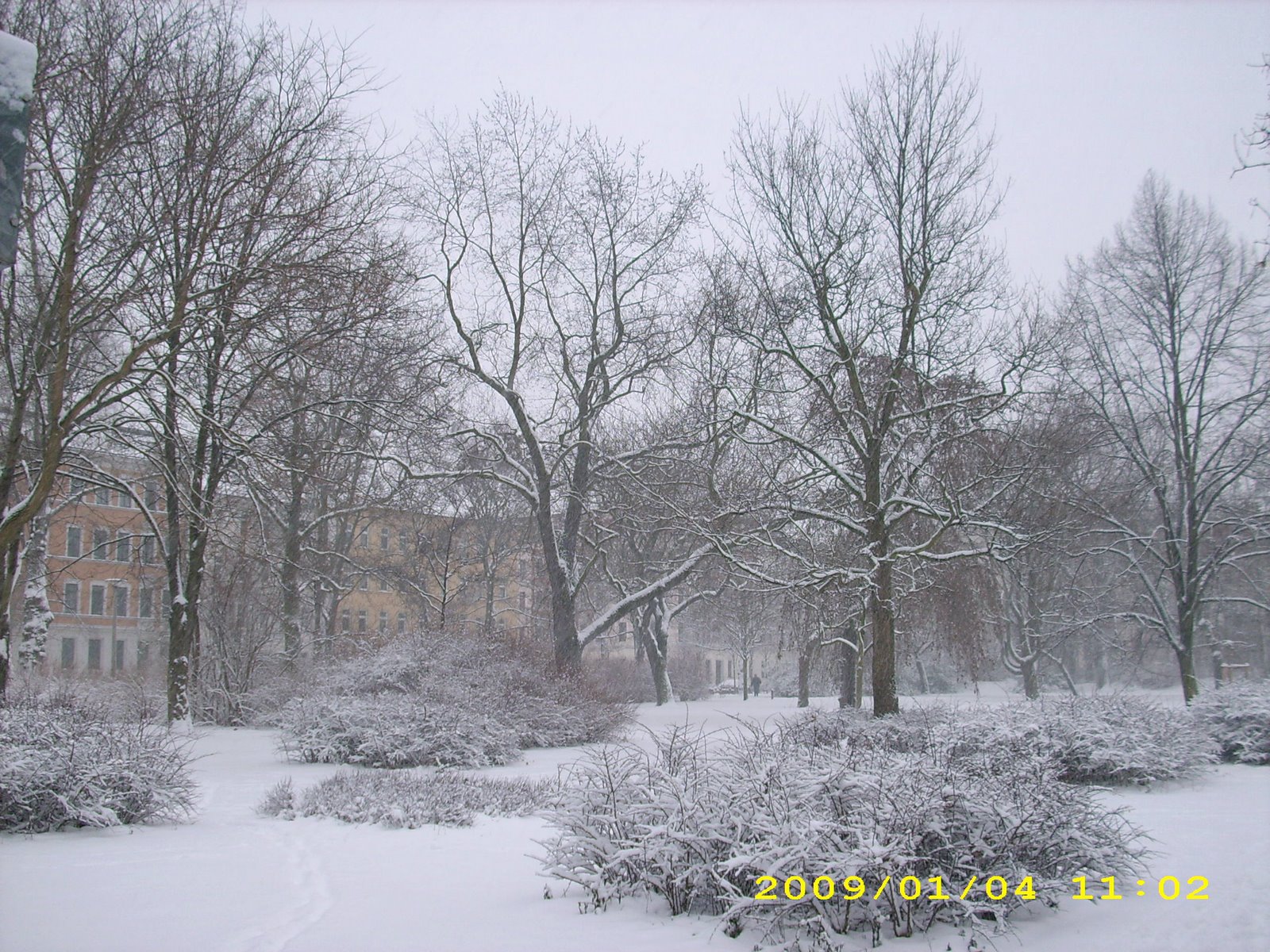 [Winter+2009+010.jpg]