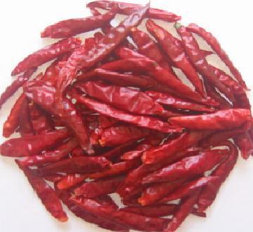 chillies.jpg