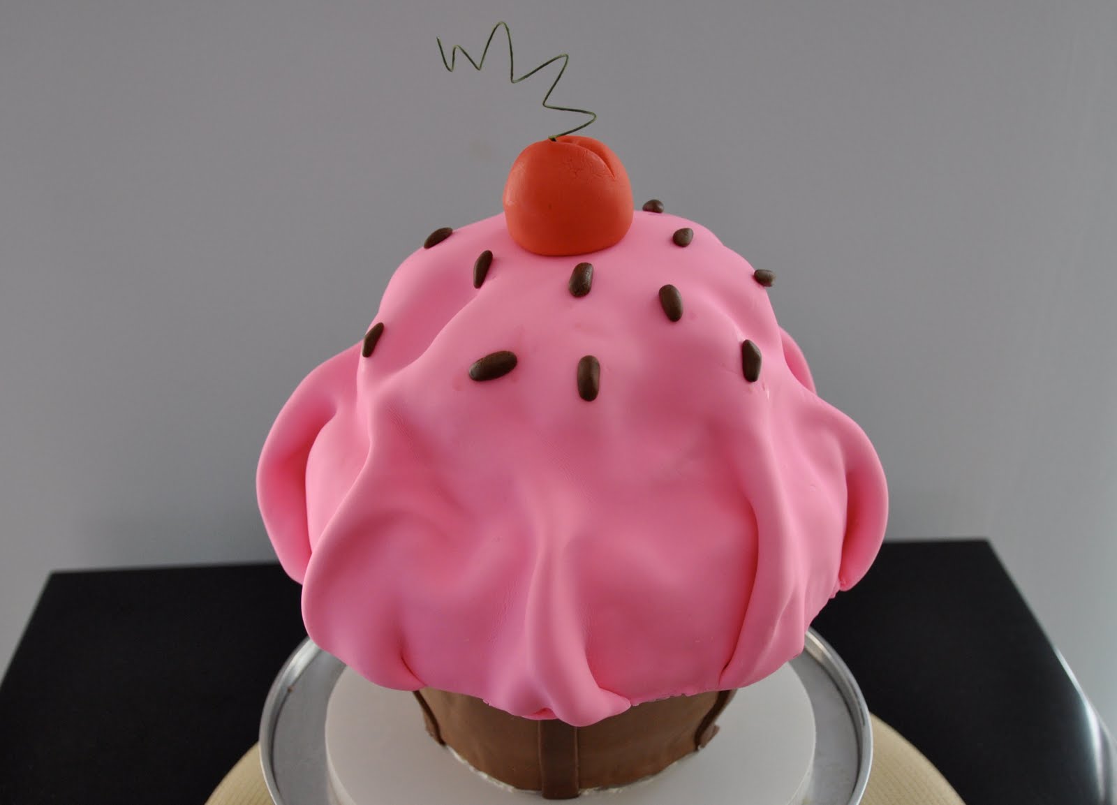 [DSC_0102.JPG]