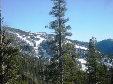 [Lake_Tahoe_heavenly_trails.jpg]