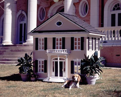 casa perro