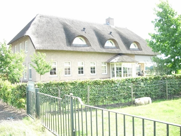 A Dutch House in countryside