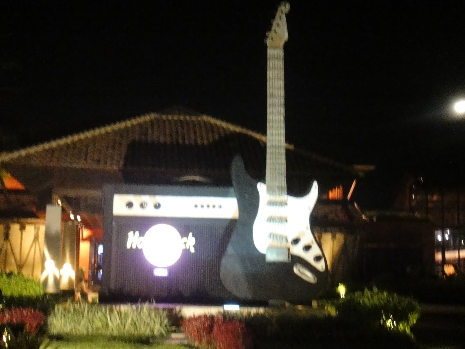 [DSC00631.JPG]