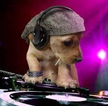 doggie main dj
