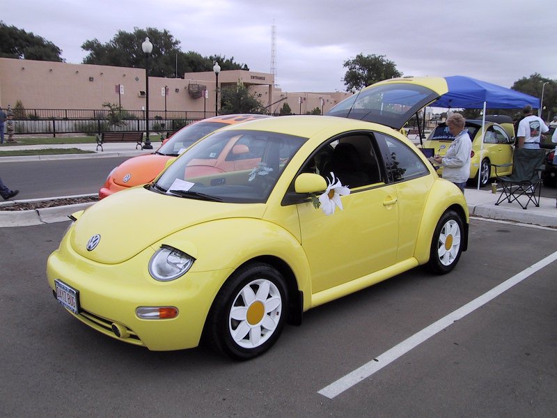 Eyelashes for cars - Car Eyelashes