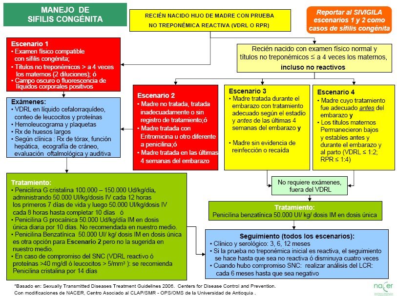 external image Flujograma+sifilis+congenita.jpg