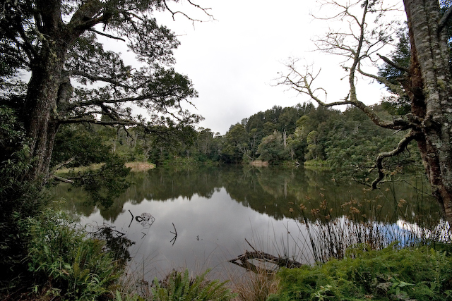 [20070615-09June07+-+IMG_9231.jpg]