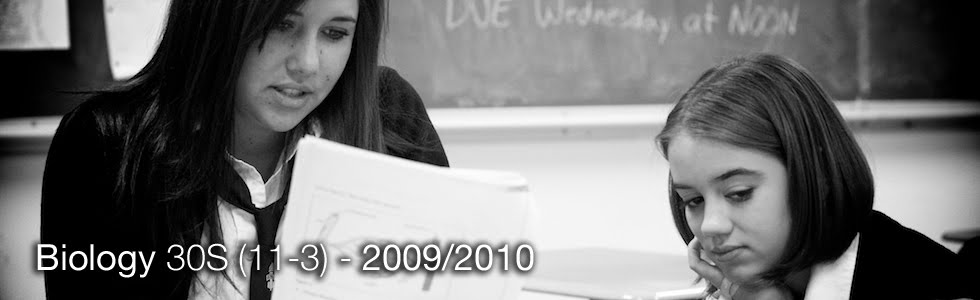Biology 30S (11-3) - 2009/2010
