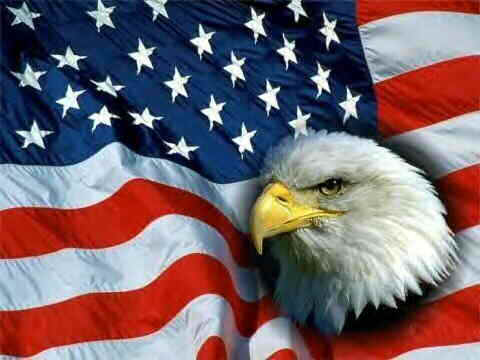 american flag and eagle american flag eagle. american flag and eagle
