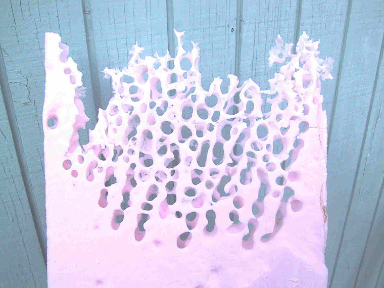 Carpenter ant damage in Styrofoam insulation