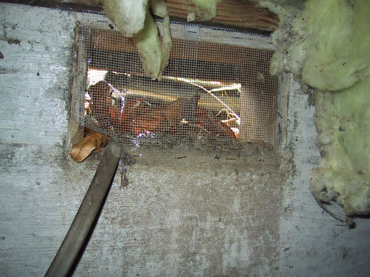 Ventilator opening to crawlspace.