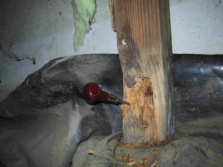 Rotting Post