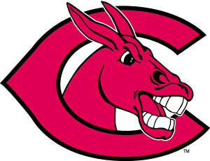 mules logo