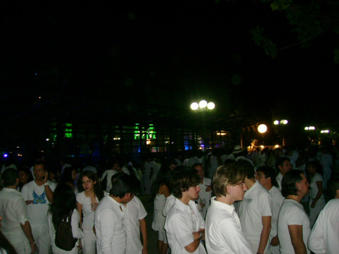 Sensation White 2008